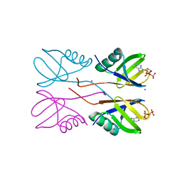 BU of 6pfl by Molmil