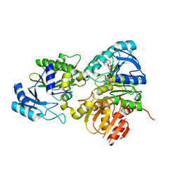 BU of 6pfn by Molmil