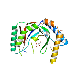 BU of 6pfq by Molmil