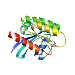 BU of 6pgp by Molmil