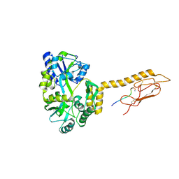 BU of 6pgq by Molmil