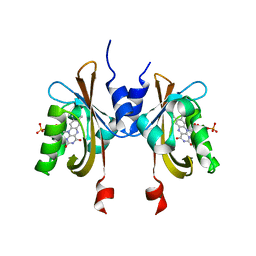 BU of 6ph2 by Molmil