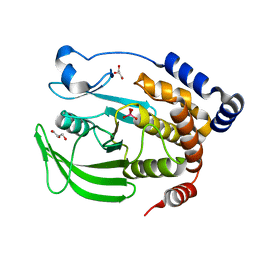 BU of 6phs by Molmil