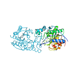 BU of 6pht by Molmil