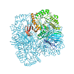 BU of 6phv by Molmil