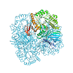 BU of 6phw by Molmil