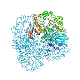 BU of 6pi0 by Molmil