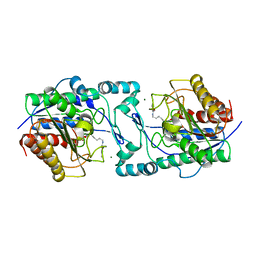 BU of 6pi1 by Molmil