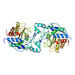 BU of 6pi8 by Molmil