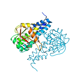 BU of 6pi9 by Molmil