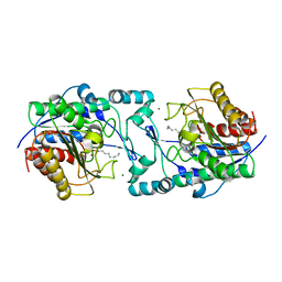 BU of 6pid by Molmil