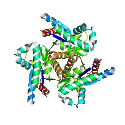 BU of 6pk5 by Molmil