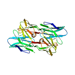 BU of 6pk8 by Molmil