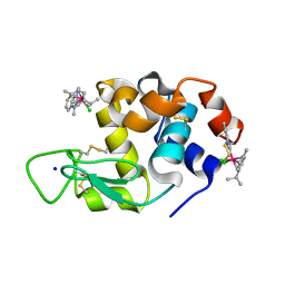 AU of 6pla by Molmil