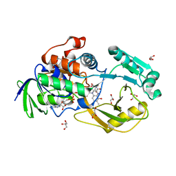 BU of 6pld by Molmil