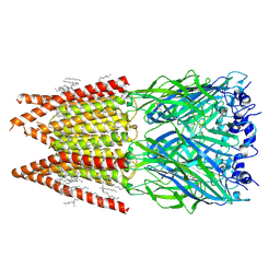 BU of 6plr by Molmil