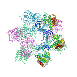 BU of 6pme by Molmil