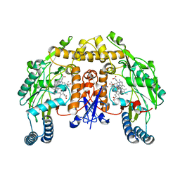 BU of 6pmw by Molmil