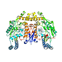 BU of 6pnb by Molmil