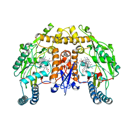 AU of 6pnc by Molmil