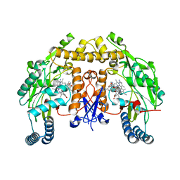 BU of 6pnh by Molmil