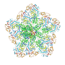 BU of 6pns by Molmil