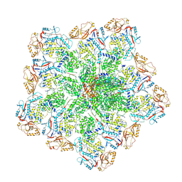 BU of 6po2 by Molmil