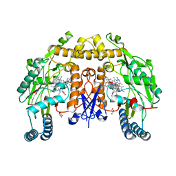 BU of 6poc by Molmil