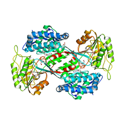 BU of 6pop by Molmil