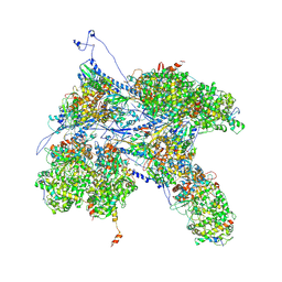 BU of 6ppd by Molmil