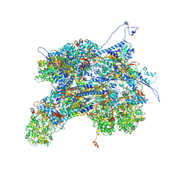 BU of 6pph by Molmil