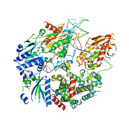 BU of 6ppu by Molmil