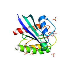 BU of 6pq3 by Molmil