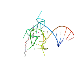 BU of 6pq7 by Molmil