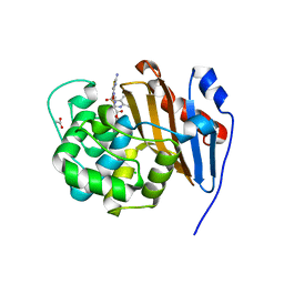 BU of 6pqi by Molmil