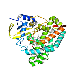 BU of 6prs by Molmil