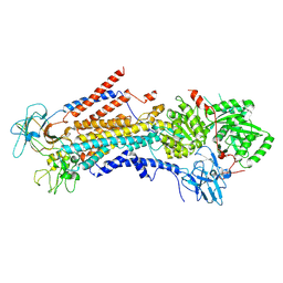 BU of 6psy by Molmil