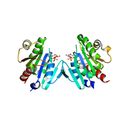 BU of 6pta by Molmil