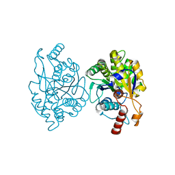 BU of 6ptf by Molmil