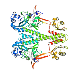 BU of 6ptq by Molmil