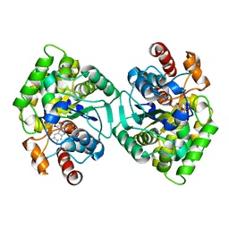 BU of 6pu6 by Molmil