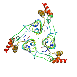 BU of 6pu9 by Molmil