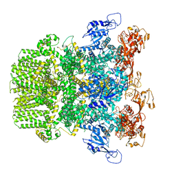 BU of 6pus by Molmil