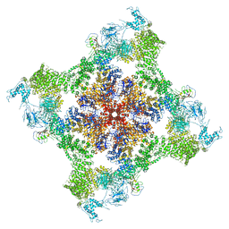 BU of 6pv6 by Molmil