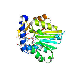 BU of 6pvb by Molmil