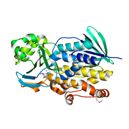 BU of 6pvf by Molmil