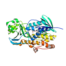 BU of 6pvg by Molmil