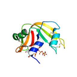 BU of 6pvx by Molmil