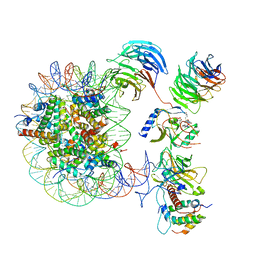 BU of 6pwv by Molmil