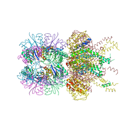 BU of 6pxi by Molmil